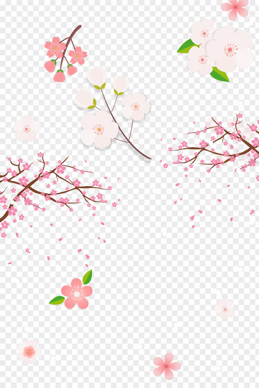 Hand-painted Cartoon Cherry Blossoms National Blossom Festival PNG