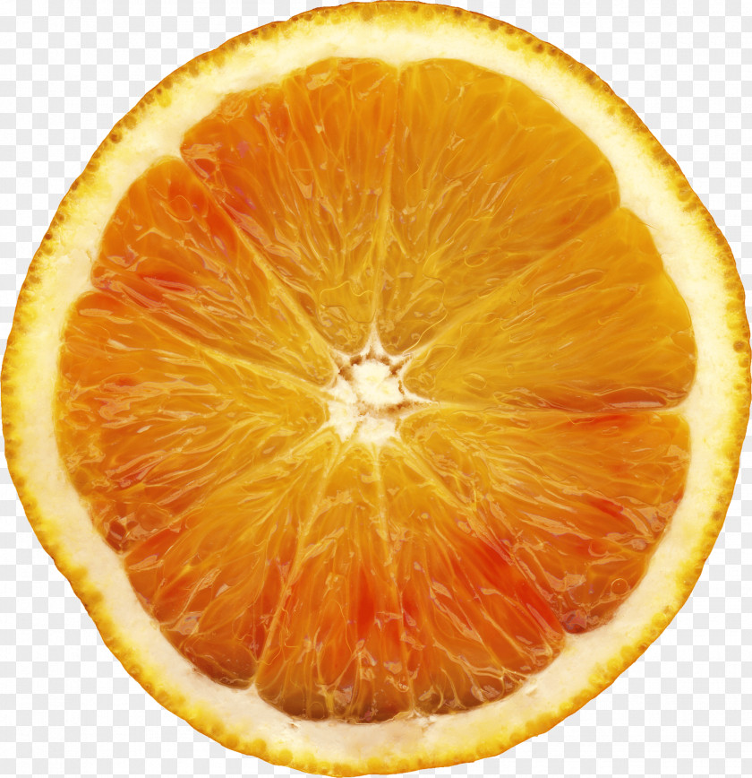 Orange Image Download Juice Cocktail Garnish Marmalade PNG