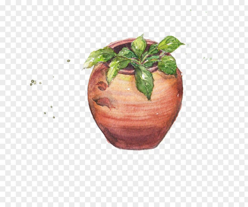 The Plants In Jar Plant Euclidean Vector PNG