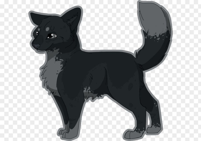 Cat Schipperke Whiskers Dog Breed PNG