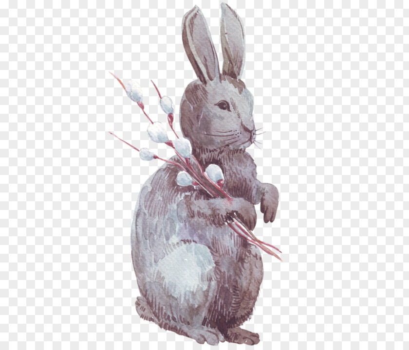 Easter Domestic Rabbit Hare Bunny PNG