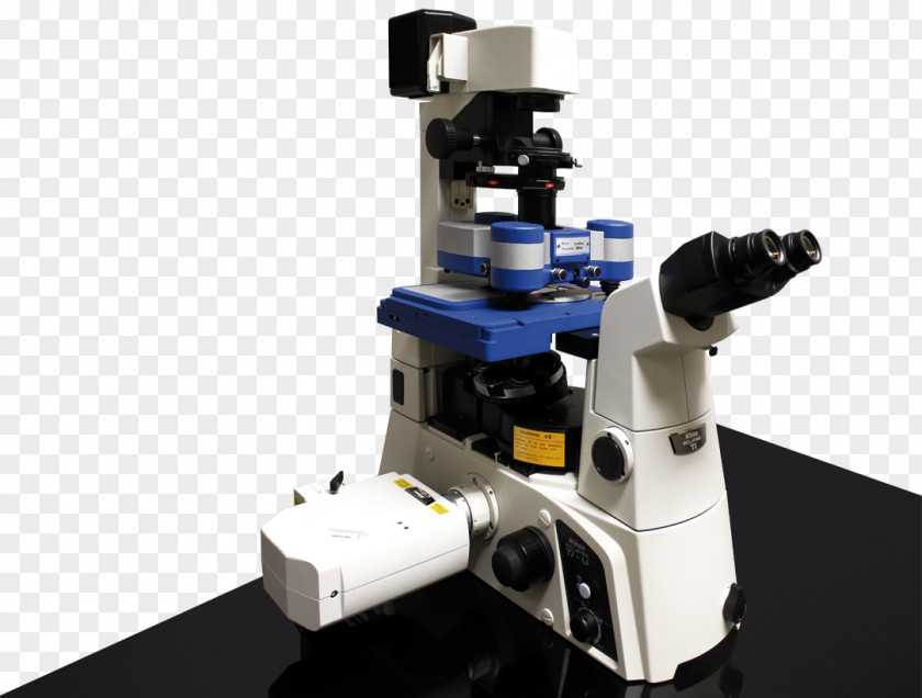 Microscope Optical Dinosaur Planet Image Atomic Force Microscopy PNG