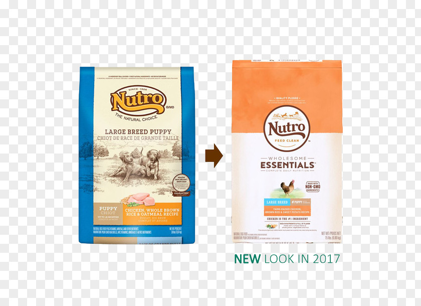 Puppy Dog Food Nutro Products Cat PNG