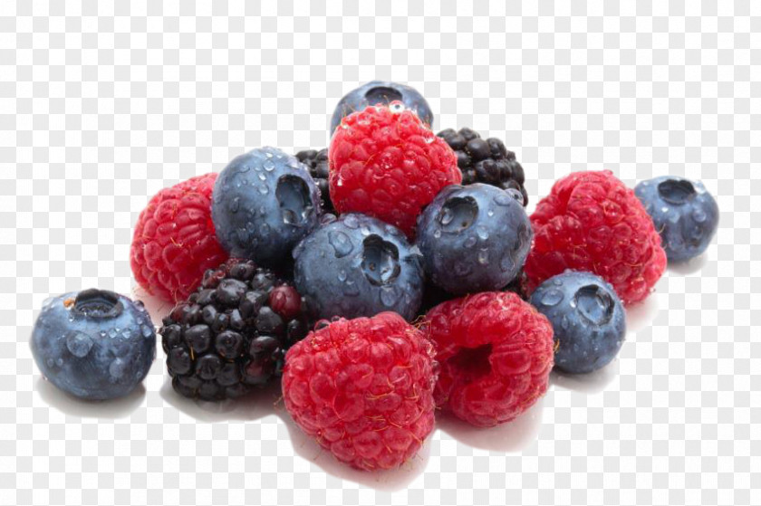 Smoothie Berry Fine Food Line Tart PNG