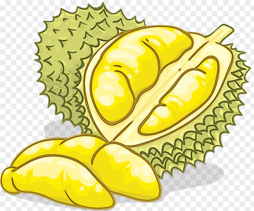 Superfood Artocarpus Fruit Durian Yellow Food Natural Foods PNG