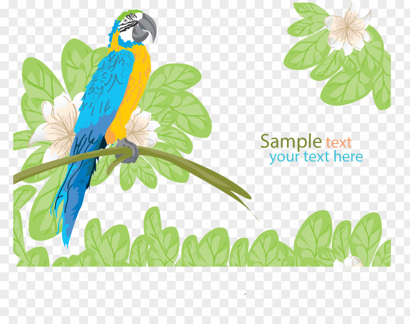Vector Beautiful Parrot Euclidean Flower PNG