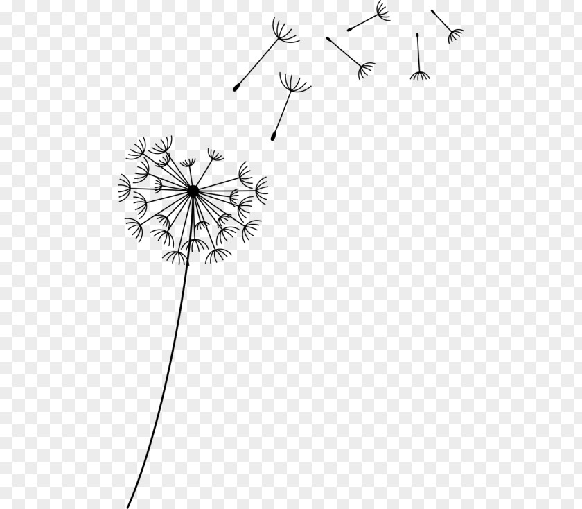 Wildflower Plant Stem Drawing Of Family PNG
