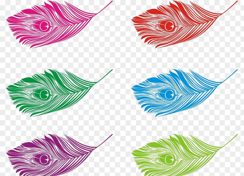 Different Colors Of Peacock Feathers Buckle-free Material Bird Feather Peafowl Euclidean Vector PNG