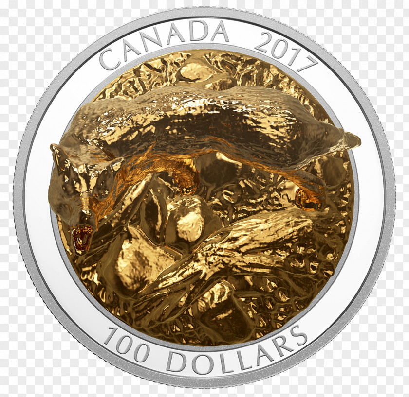 Silver Coin Canada Gold Currency PNG