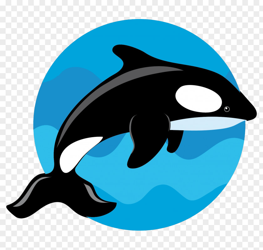 Whale Common Bottlenose Dolphin Killer Porpoise Clip Art PNG