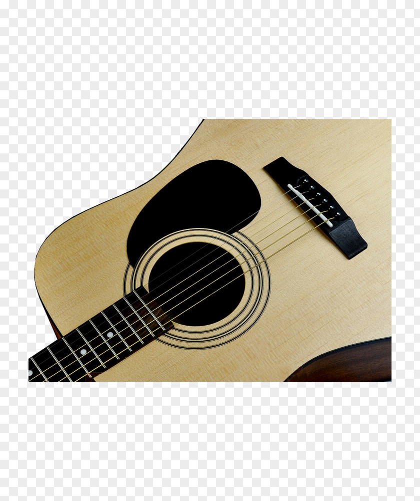 Acoustic Guitar Acoustic-electric Tiple Cort Guitars PNG