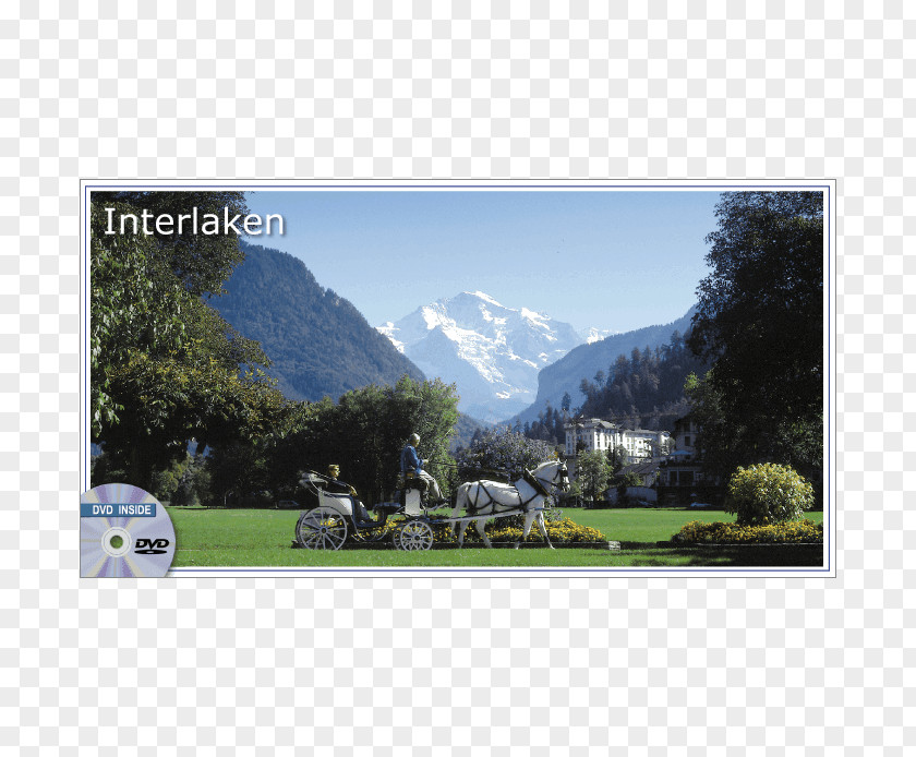 Bed & Breakfast ****Bed And BreakfastHotel Interlaken Grindelwald Lake Thun Wengen Chalet-Gafri PNG