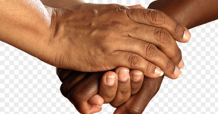Hand Handshake Holding Hands Health Care PNG