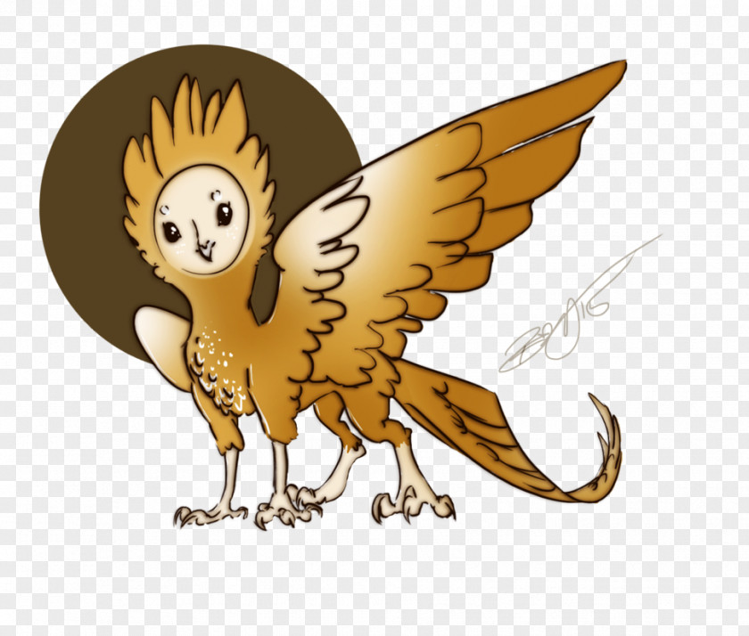 Owl Wing Bird Beak PNG