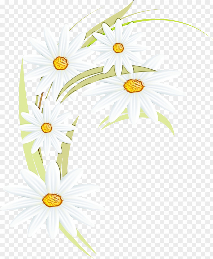 Pedicel Aster Floral Flower Background PNG