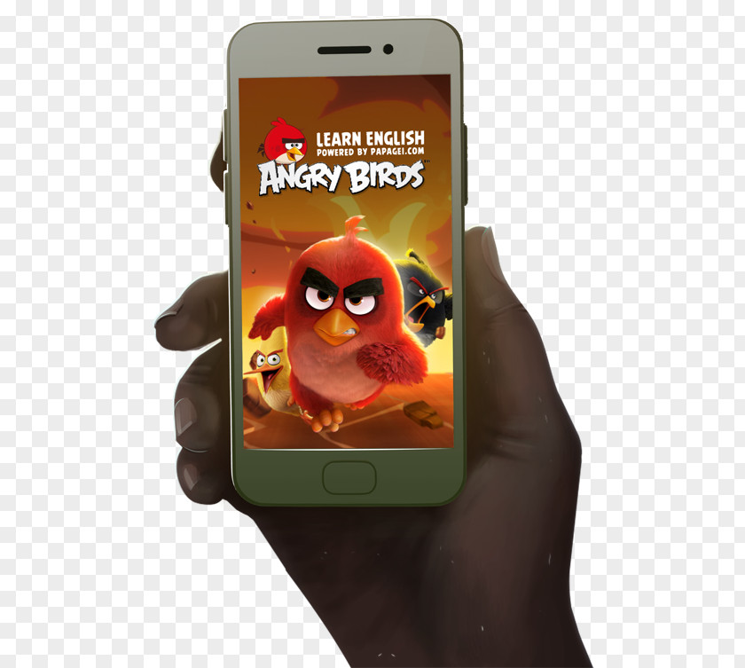 Smartphone Learn English Now Vocabulary Angry Birds PNG
