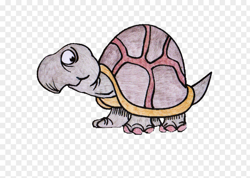 Turtle The Tortoise And Hare Sea Clip Art PNG
