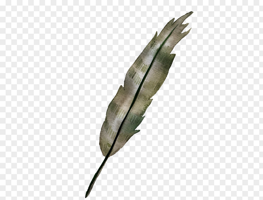 Watercolor Feather Painting PNG