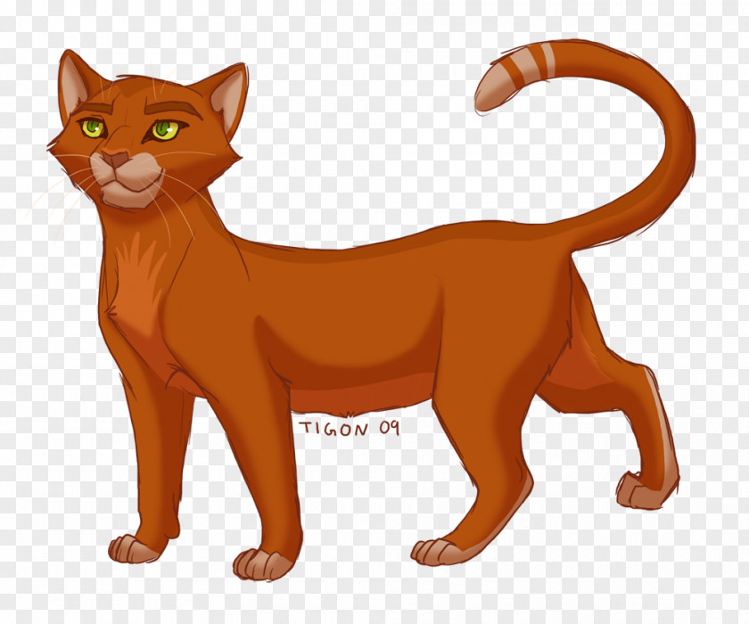 Cat Dawn Warriors Firestar Tigerstar PNG