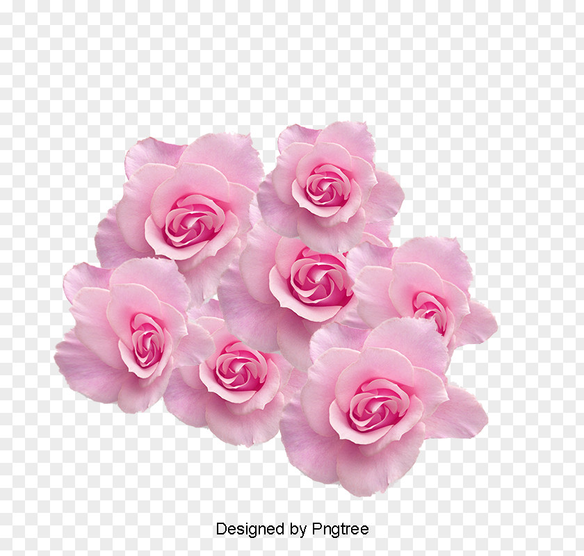 Cherry Blossom Garden Roses Image Psd Graphics PNG