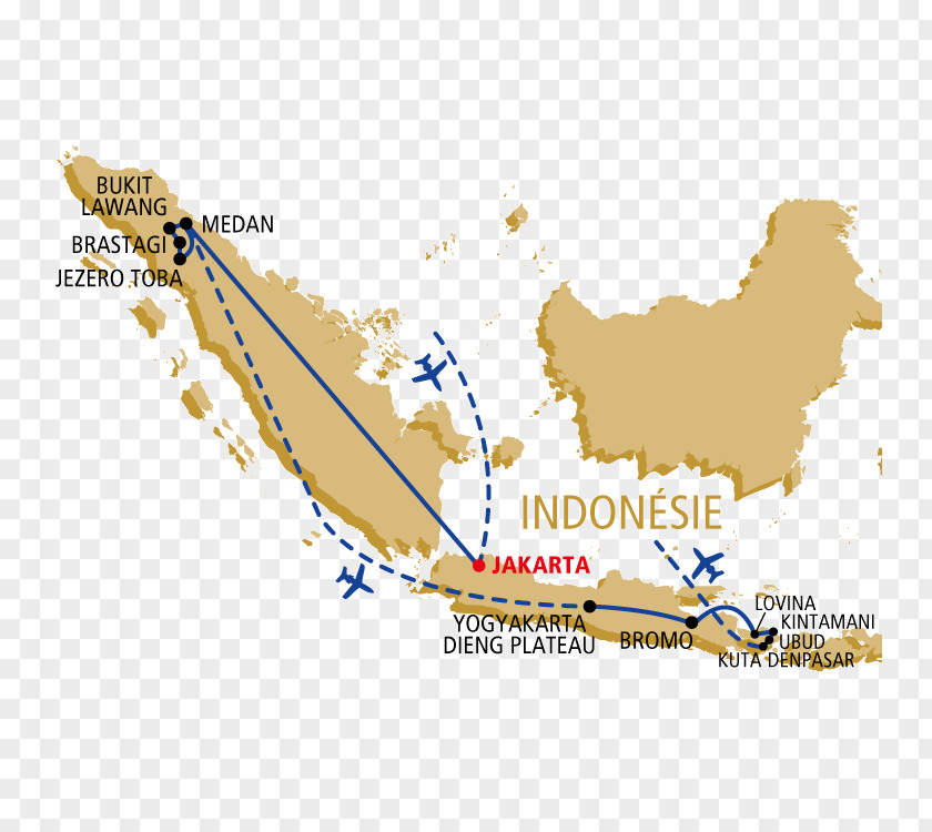 Map Line Tuberculosis PNG