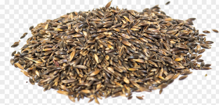 Melasse Nilgiri Tea Hōjicha Seed Fennel Flower Commodity PNG