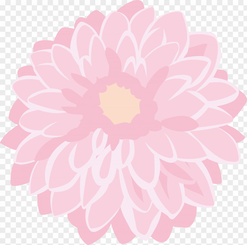 Pink Flower Petal Plant Dahlia PNG