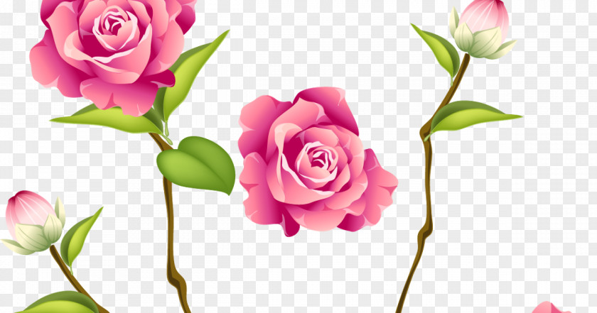Rose Clip Art Flower Pink Floral Design PNG