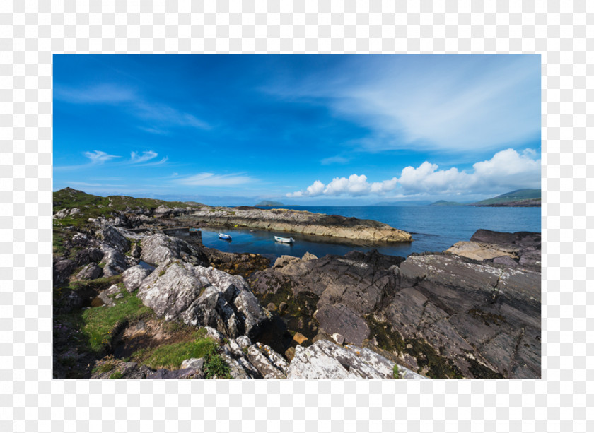 Watercolor Lamb Cape May Promontory Headland Loch Coast PNG