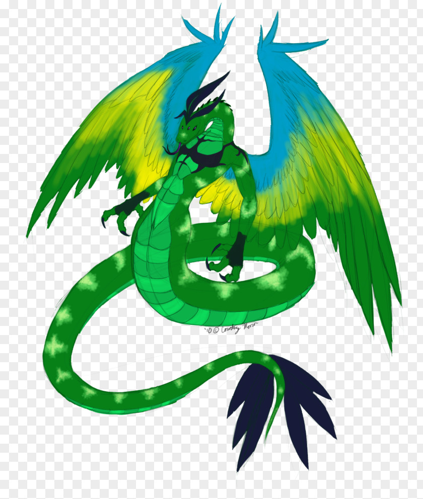 Asl Pattern Macaw Artist Dragon Illustration PNG