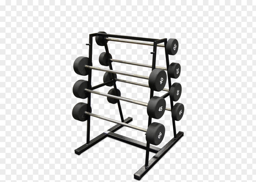 Barbell Exercise Equipment Weight Training Olympic Weightlifting PNG