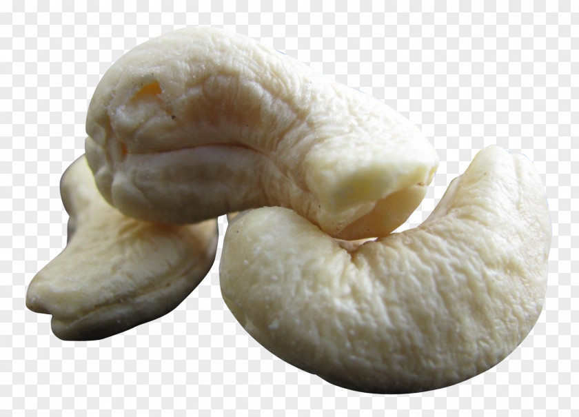 Cashew Nut PNG