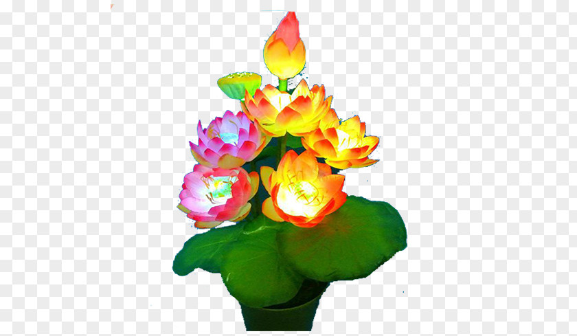 Lotus Lamp Free To Pull The Material Garden Roses Flower PNG