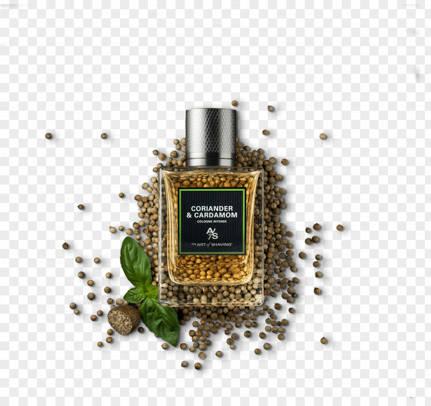 Perfume Black Cardamom Coriander Herb PNG