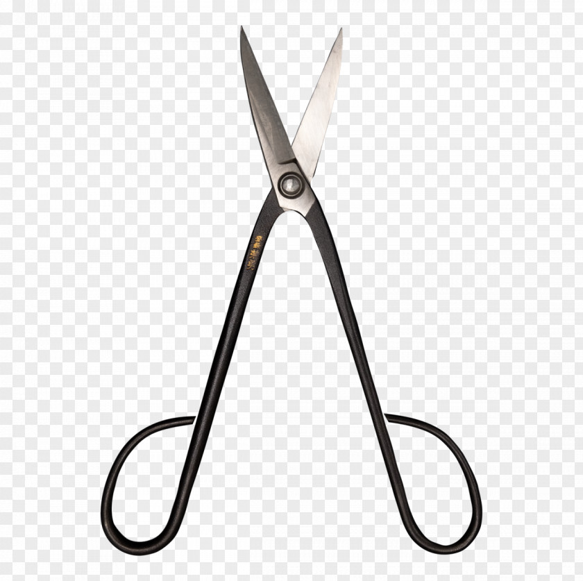 Tool Pruning Shears Hair Cartoon PNG