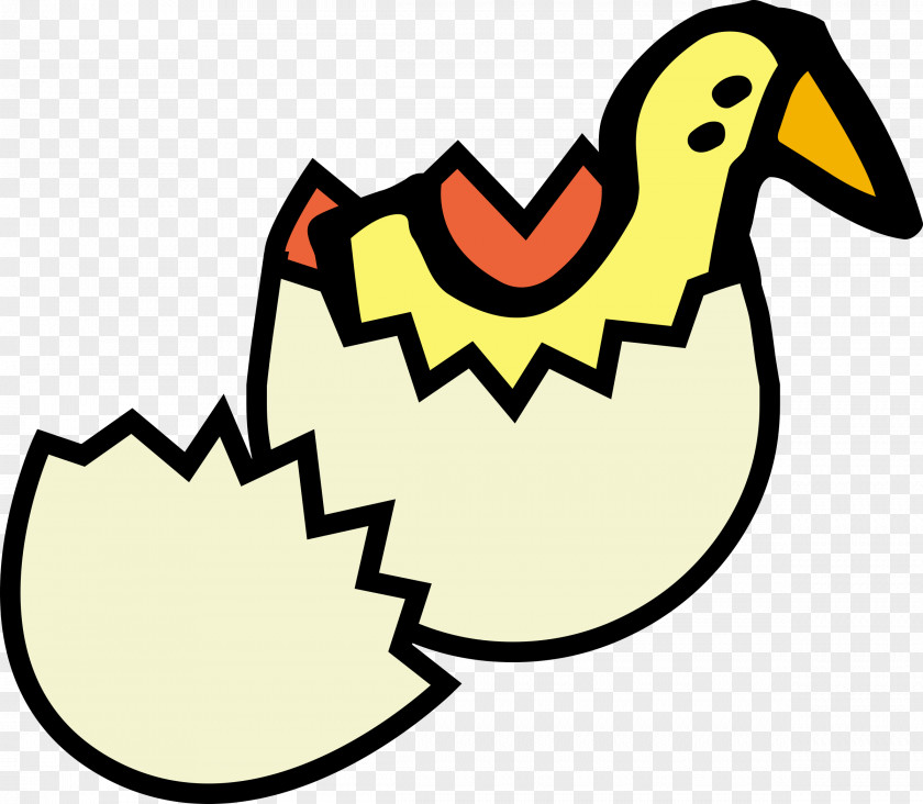 Chick Chicken Eggshell Fried Egg Clip Art PNG