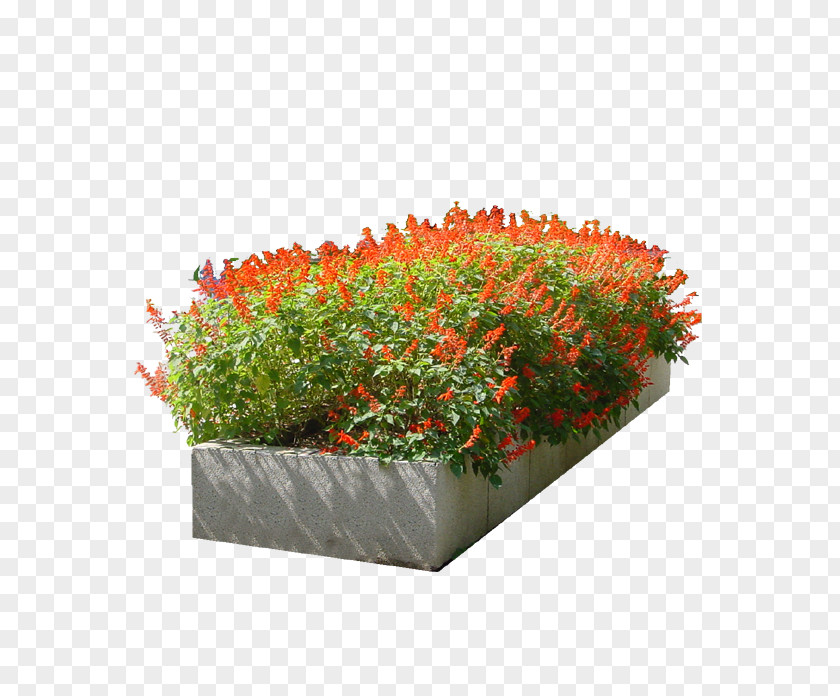 Flower Bed Garden PNG