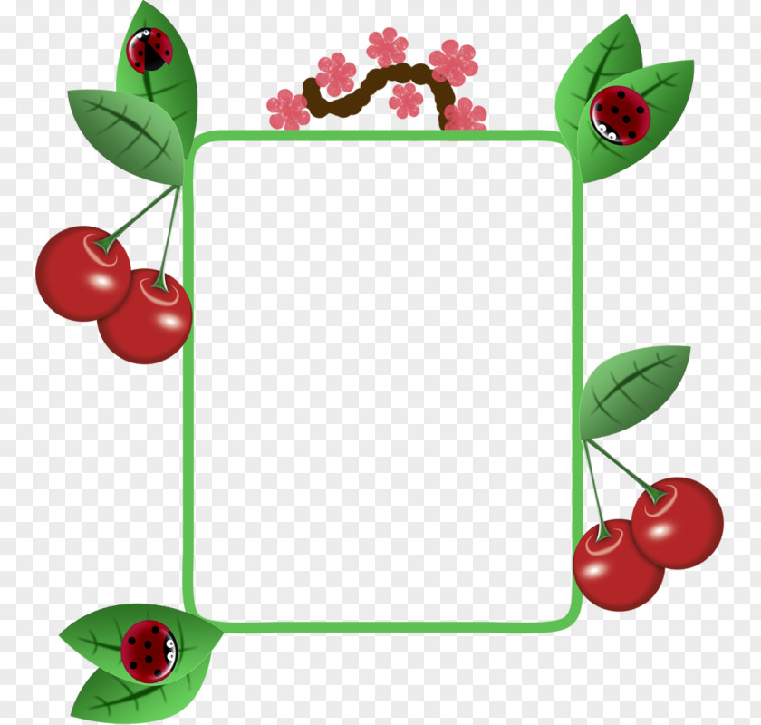 Simple Hand-painted Cartoon Cherry Fruit Border Picture Frame Clip Art PNG