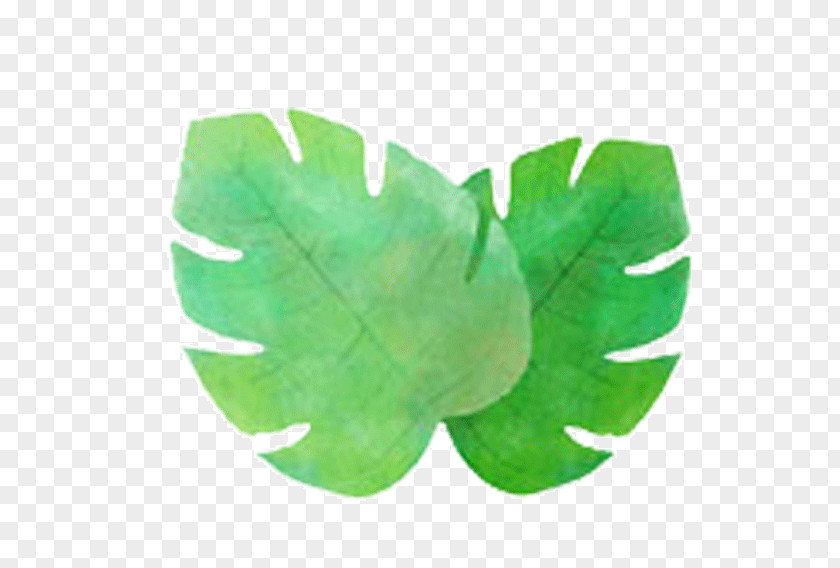 Watercolor Leaves Plant Leaf Euclidean Vector Adobe Illustrator PNG