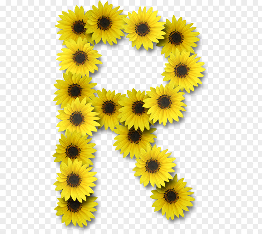 Flower Common Sunflower Letter Alphabet PNG