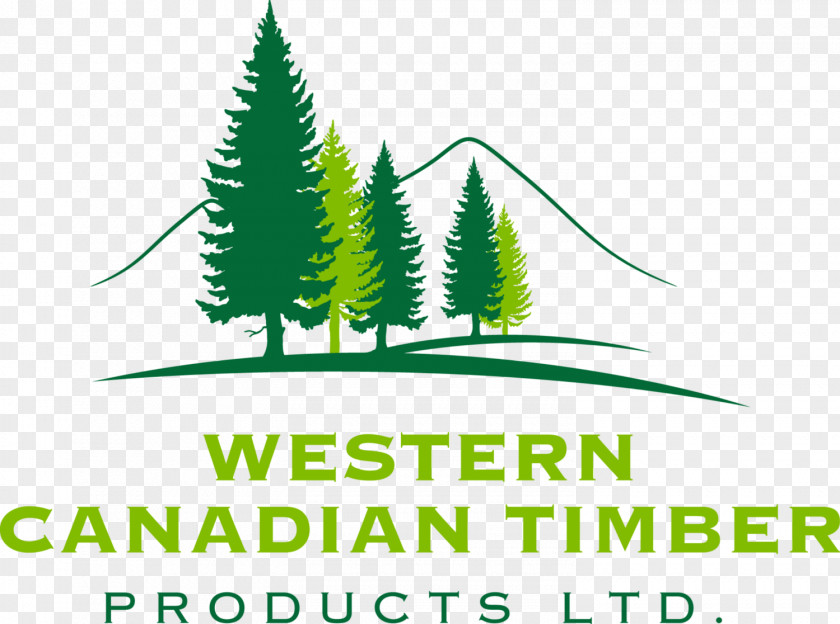 Western Canadian Timber Products Ltd Insurance Lumber Service PNG