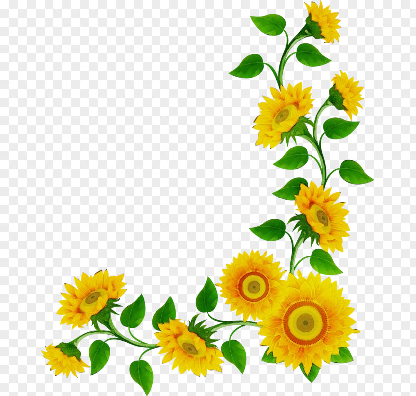 Wildflower Calendula Friendship Day Cartoon PNG