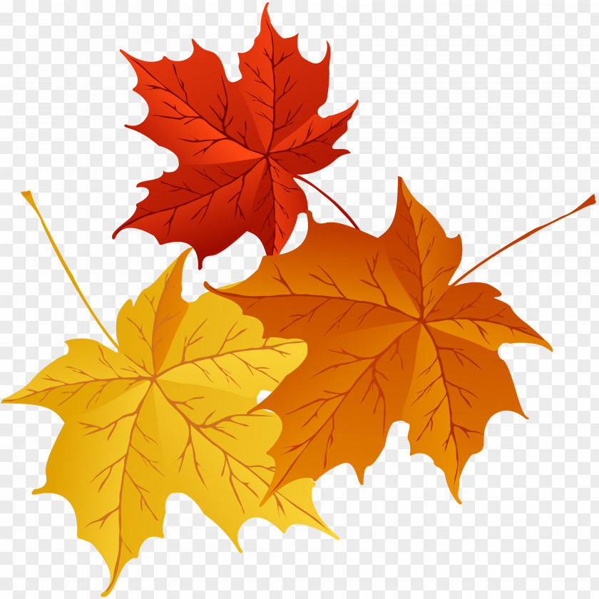 Autumn Leaves Halloween Jack-o'-lantern Computer Icons Clip Art PNG
