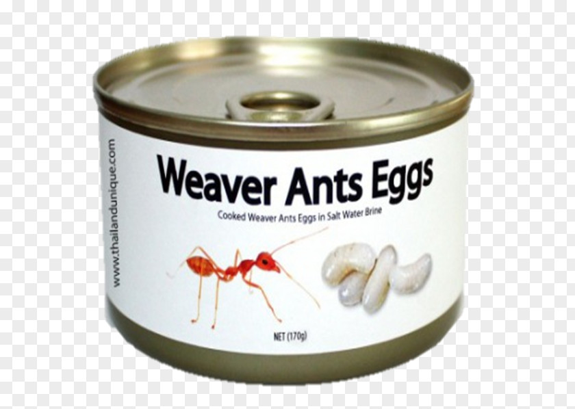 Egg Escamol Caviar Ant Ingredient PNG