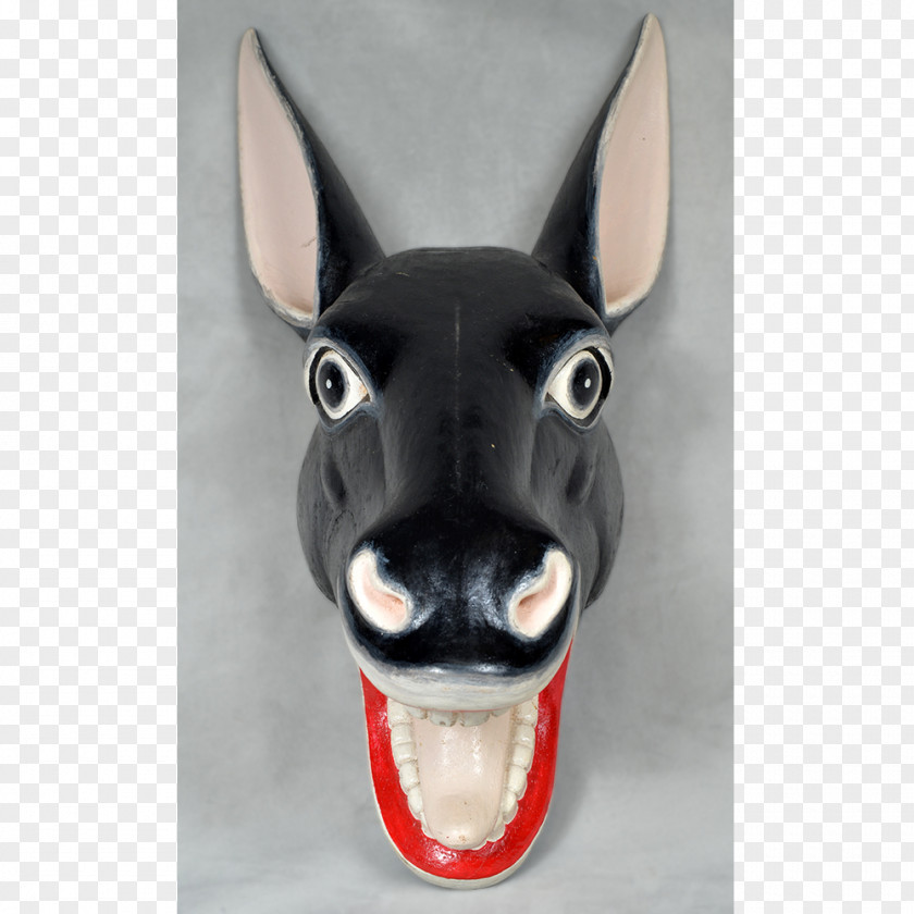 Mixtec Oaxaca Dog Breed Donkey Snout PNG