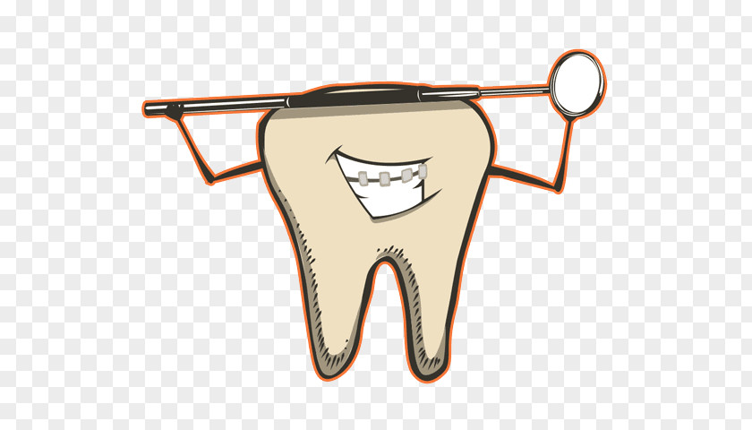Orange Dentist Human Tooth Dentistry Birkenhead Family Dental PNG