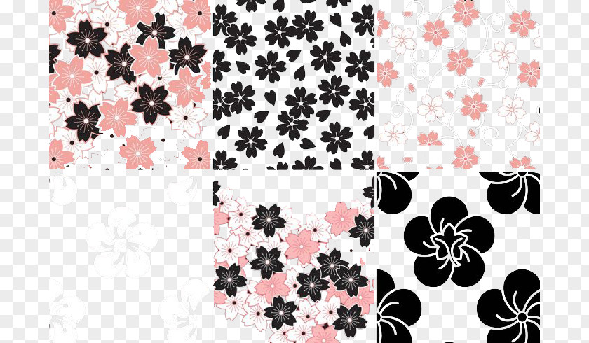 Sakura Flower Pattern Vector Pack Cherry Blossom PNG