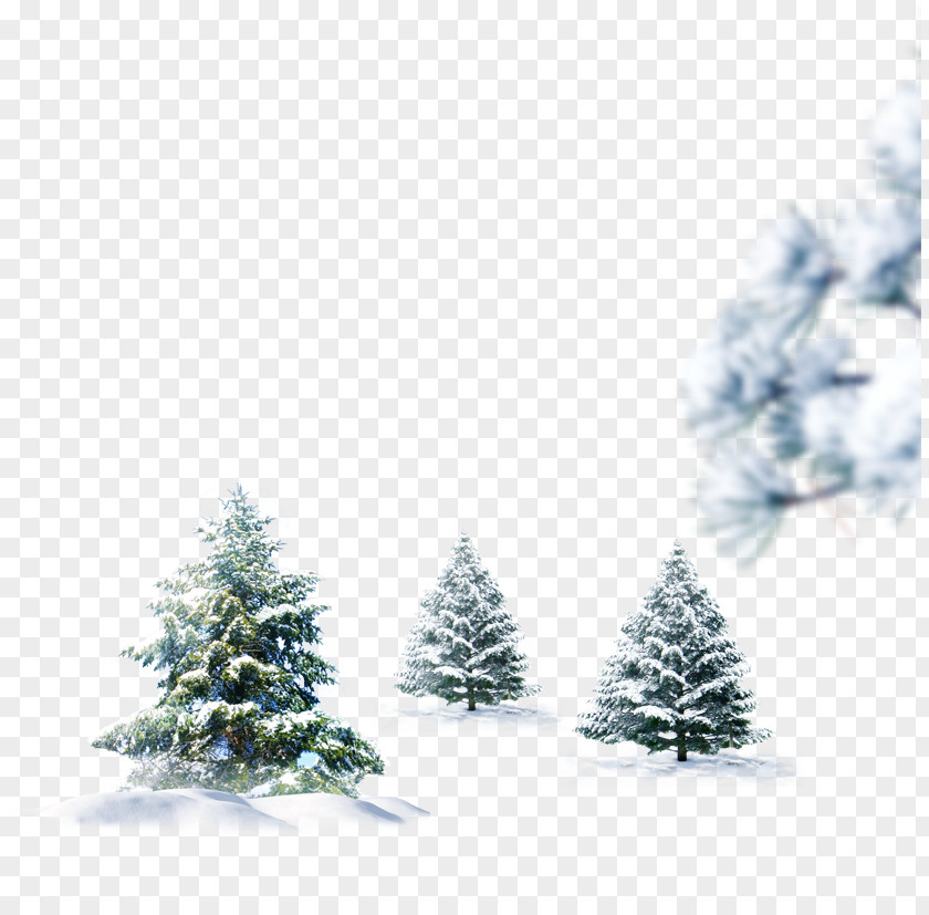 Snow Tree Snowman Christmas Winter PNG
