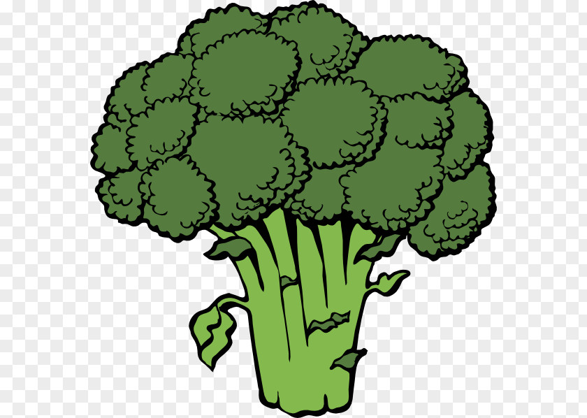 Vegtable Pictures Broccoli Slaw Vegetable Clip Art PNG