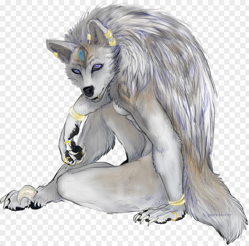 Werewolf Gray Wolf Fur Wildlife PNG